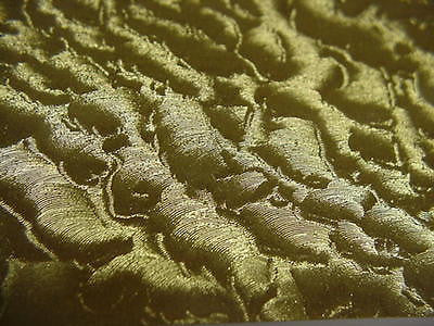 Metallic Decorative Sign Vinyl, 12 inch x 10 feet, Brush, Leaf, Engine Turn, Carbon Fiber